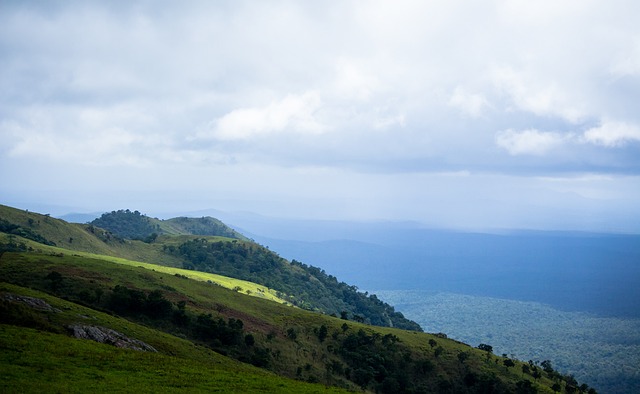 的表现都是 的表现都是