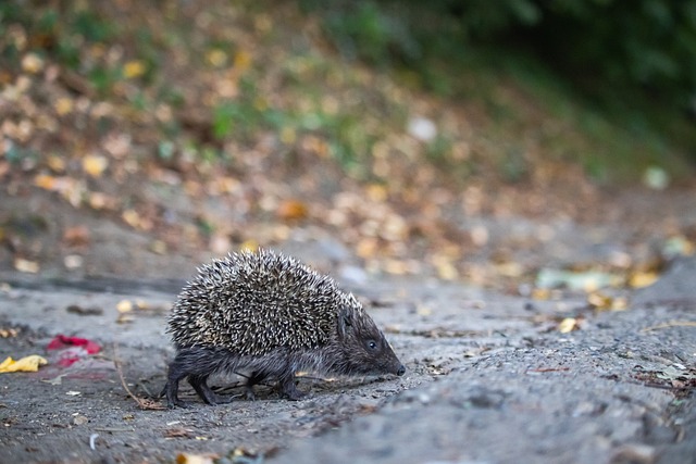 和创新的大 和创新的大