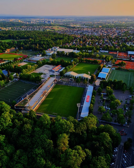 中的重要性 中的重要性