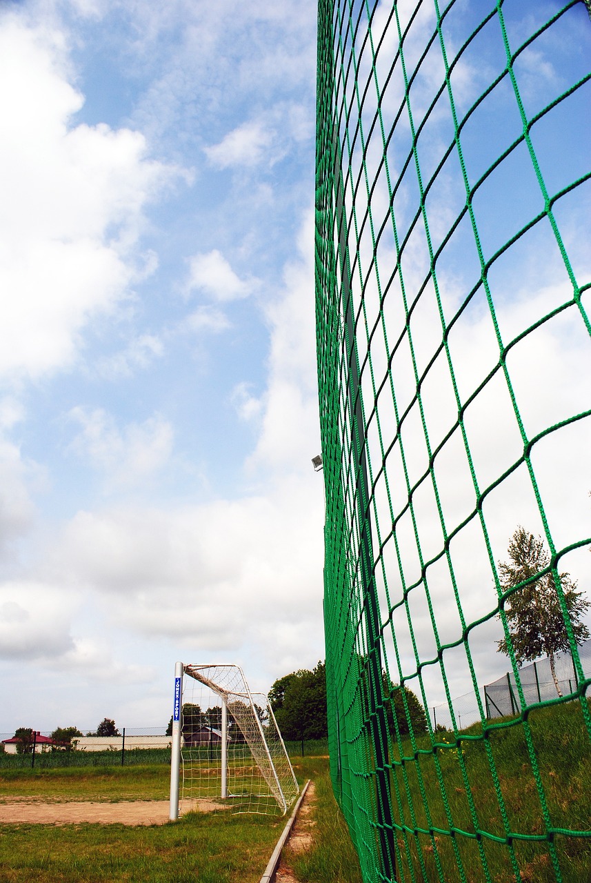 阿仙奴的蜕 阿仙奴的蜕